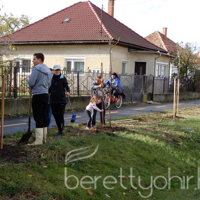 Közösségi faültetés Berettyóújfaluban 54
